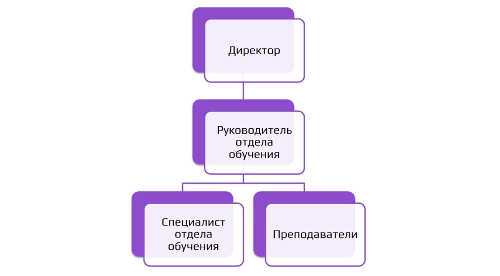 Структура образовательной организации